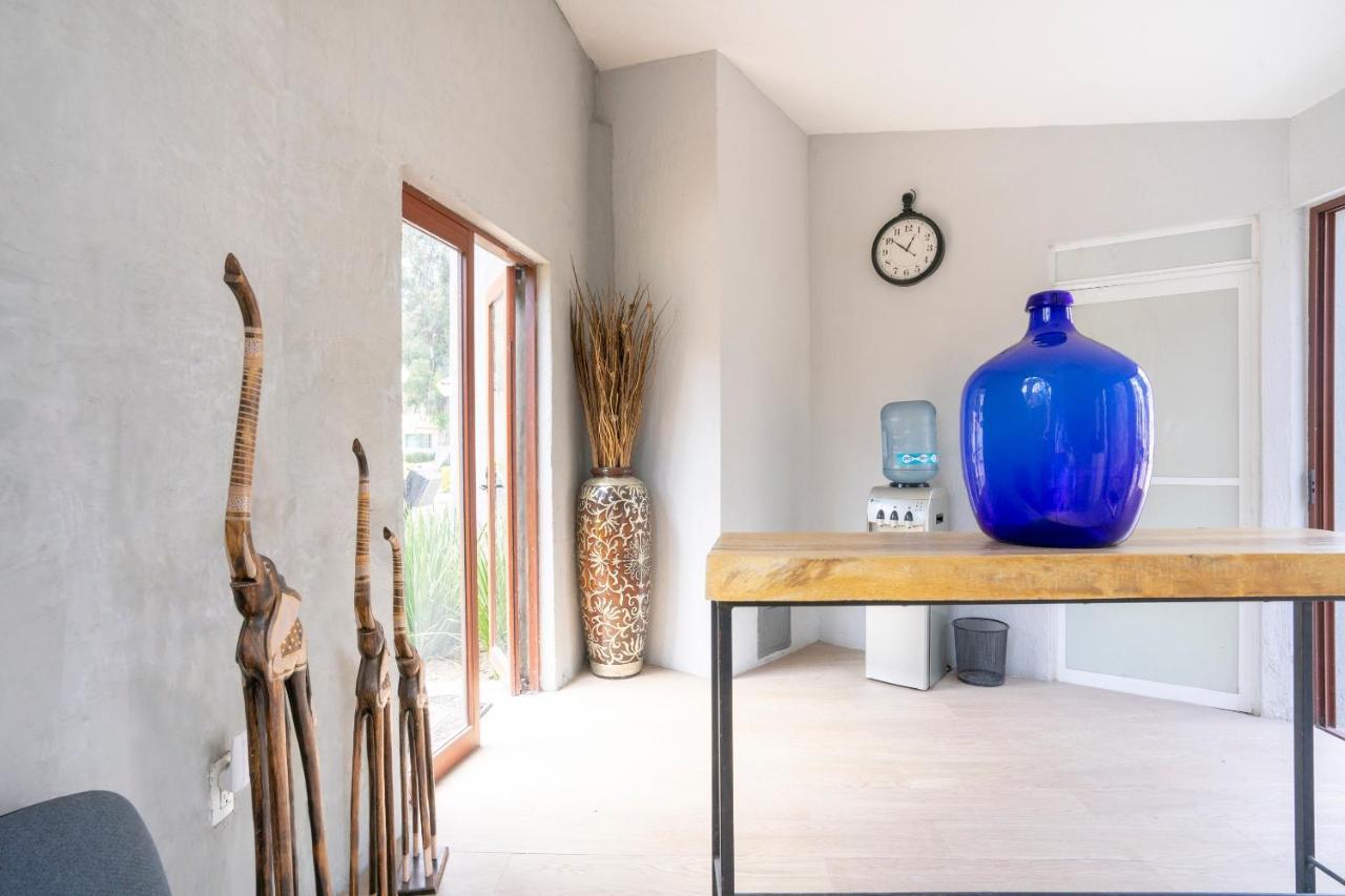 Collection O Luna Aqua Villas,Tala,Rio Escondido Εξωτερικό φωτογραφία